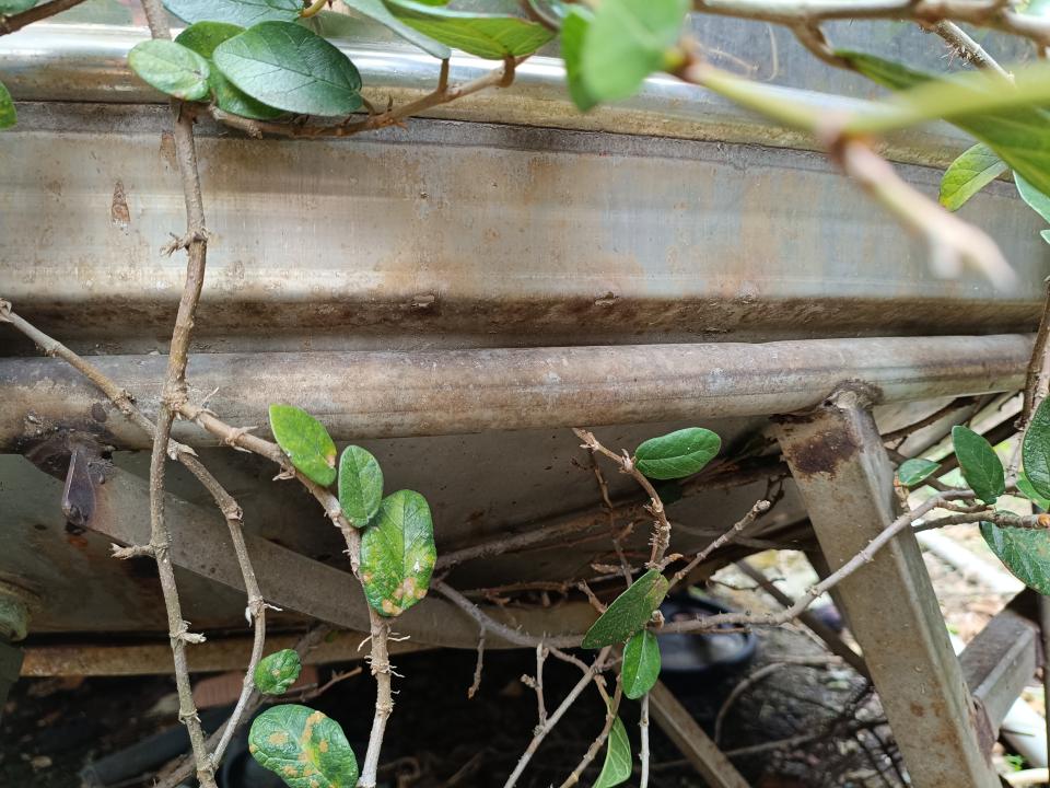 水塔漏水維修案件圖片