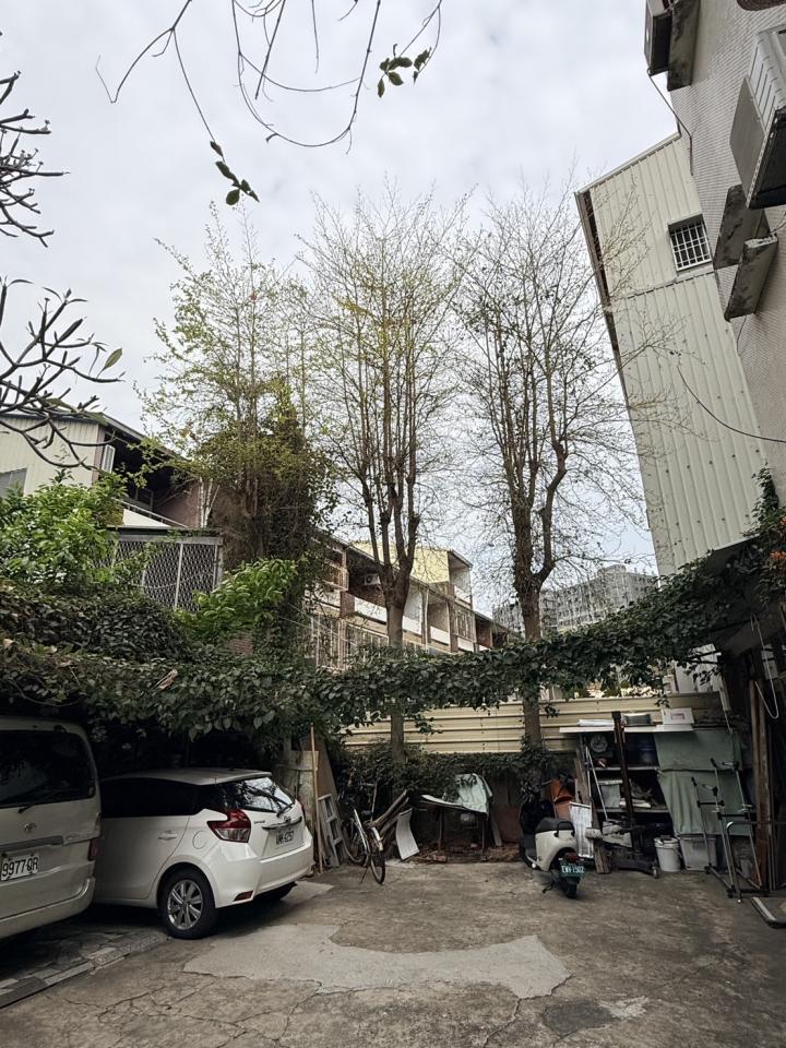 園藝維護案件圖片