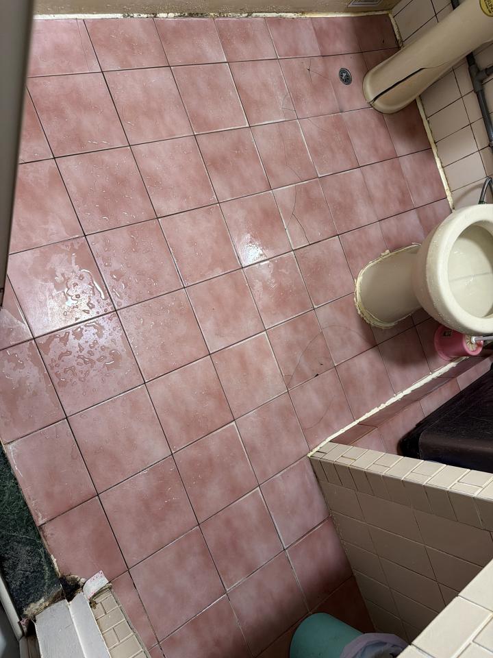 浴室設計案件圖片