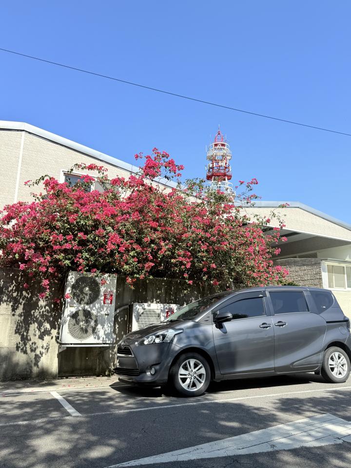 汽車板金烤漆案件圖片