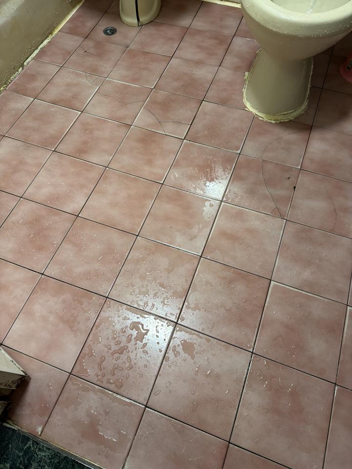 浴室設計案件圖片