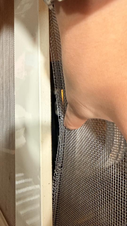 紗窗裝修案件圖片