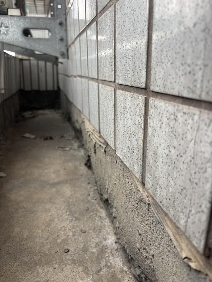 泥作/水泥施工案件圖片