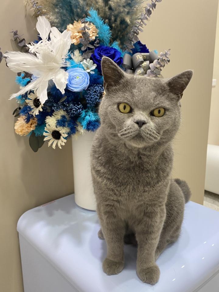 模型代工案件圖片