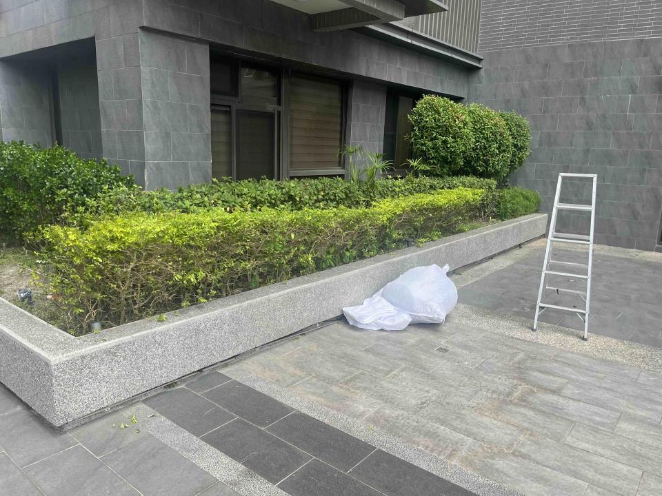 園藝維護案件圖片
