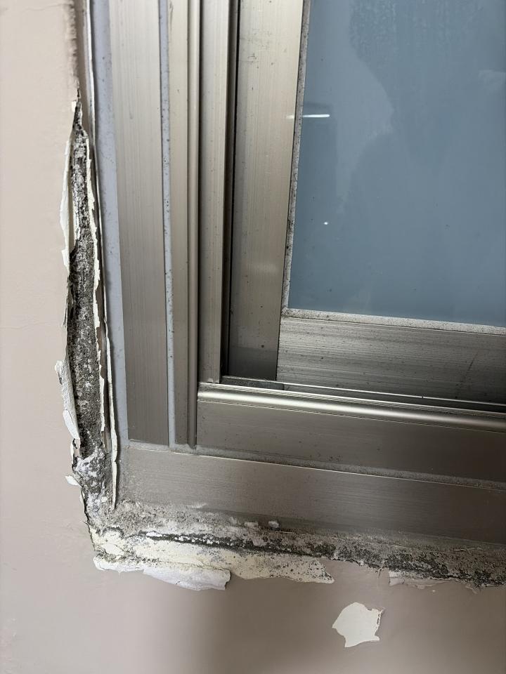 壁癌處理案件圖片