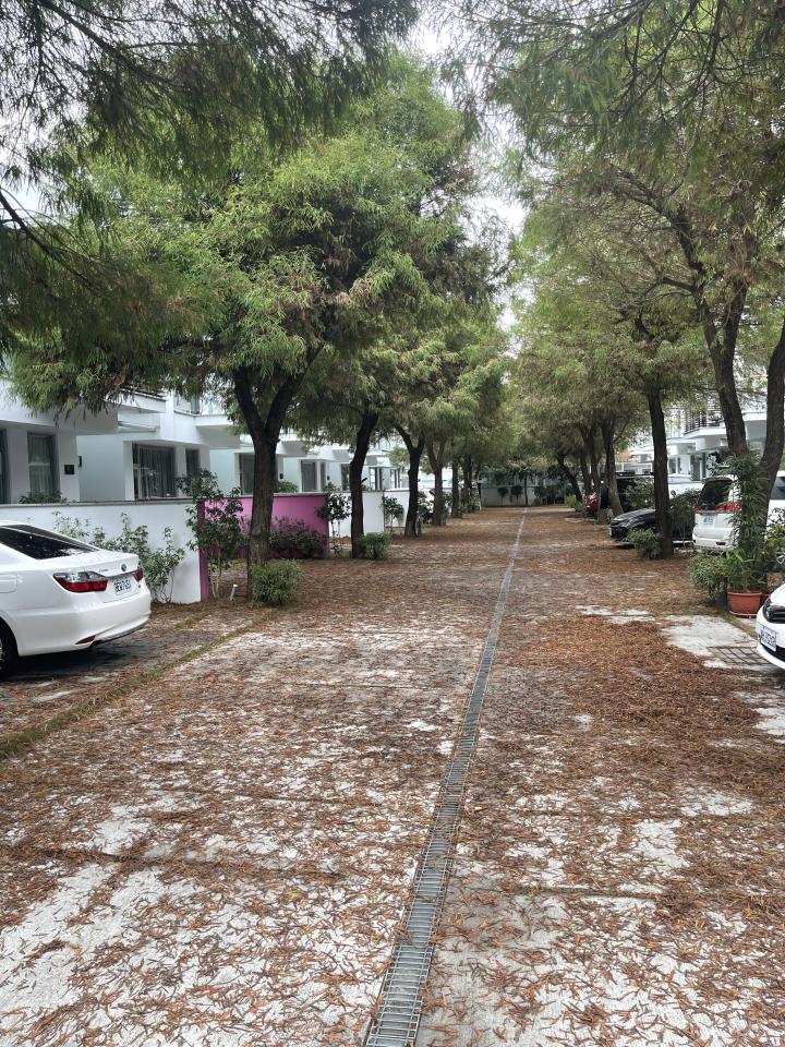 園藝維護案件圖片