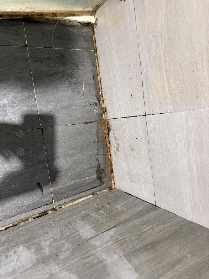 浴室清潔案件圖片