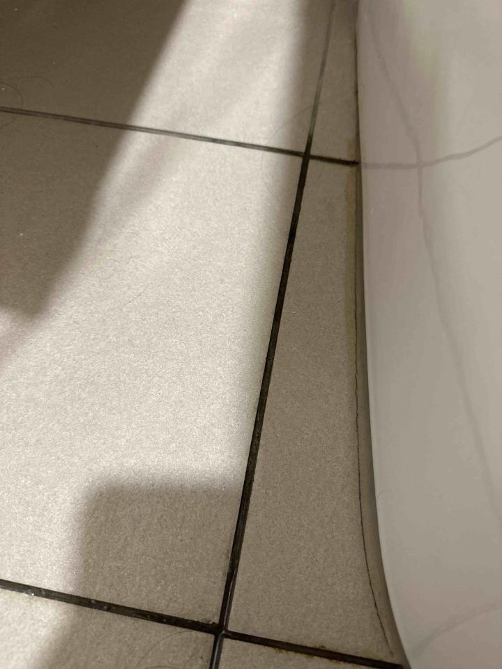 馬桶裝修案件圖片