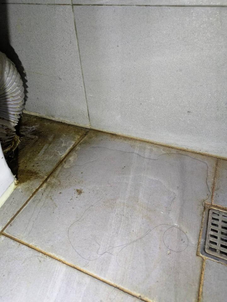 水管維修案件圖片