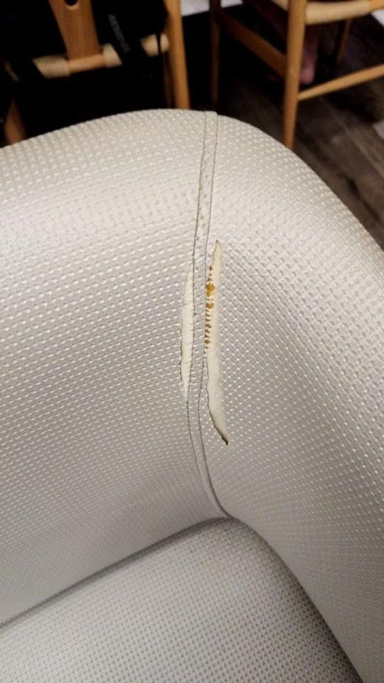 沙發修理案件圖片