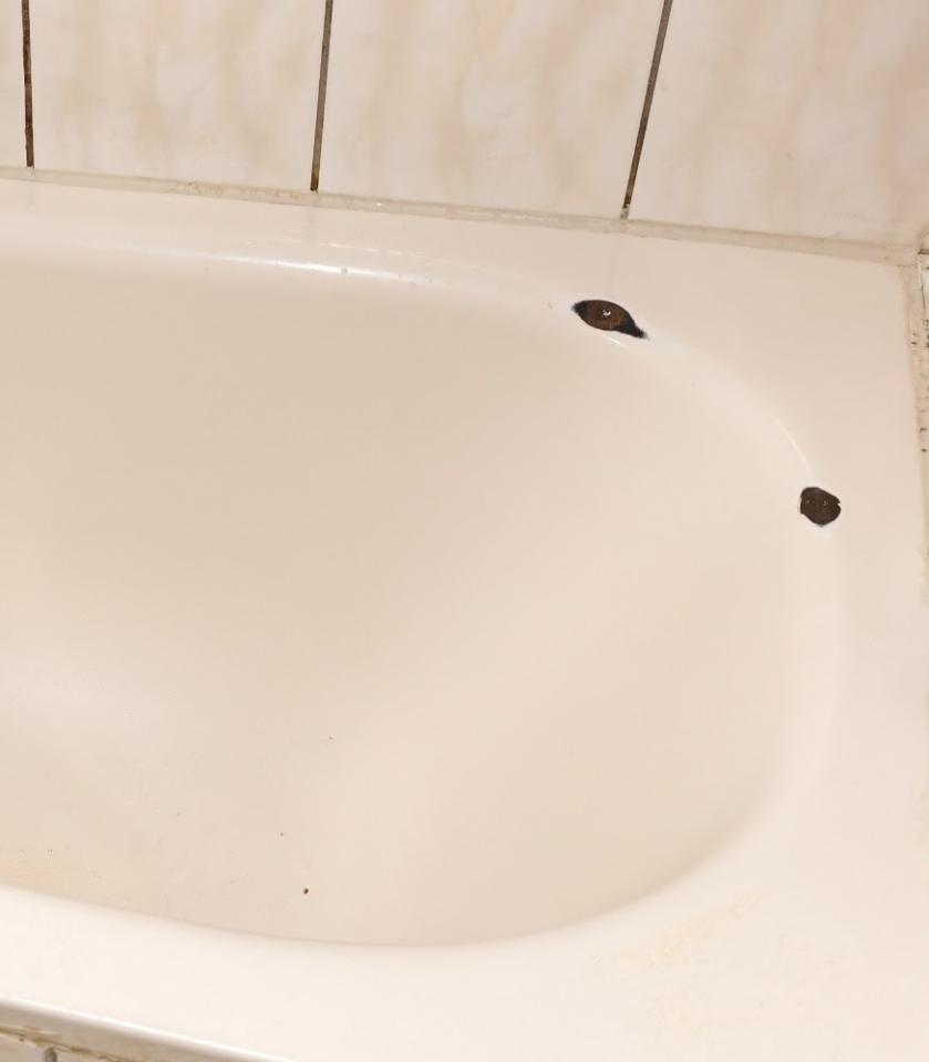 浴缸與淋浴裝修案件圖片