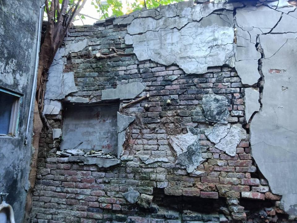 園藝維護案件圖片