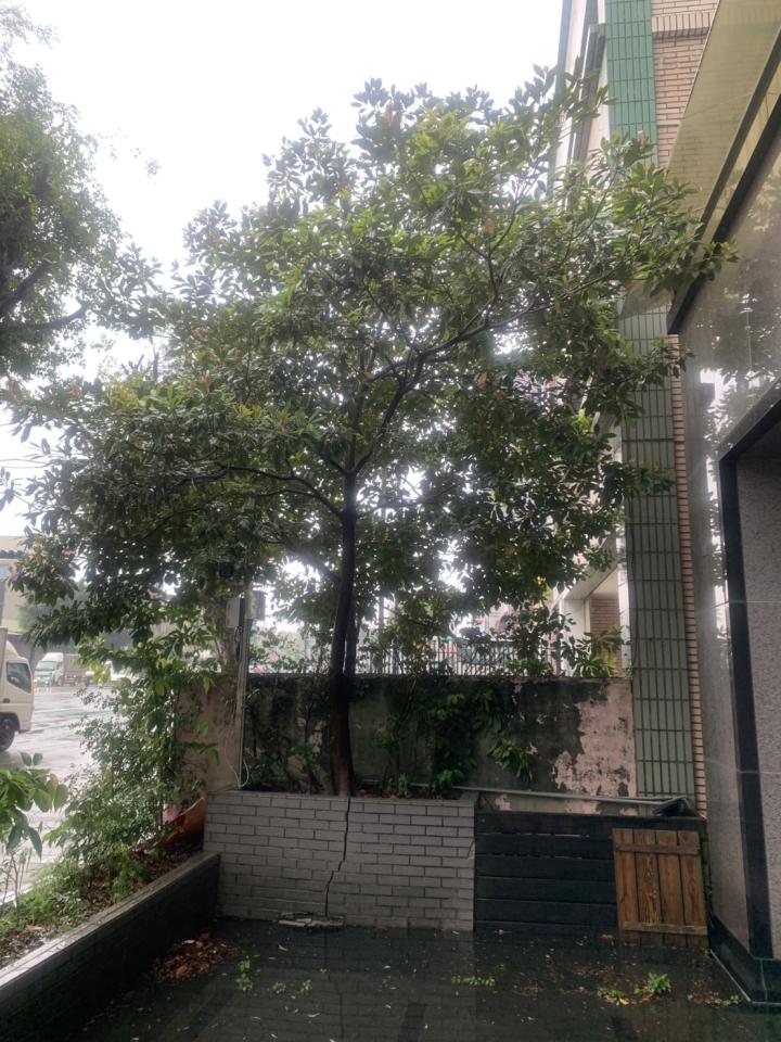 大型垃圾回收案件圖片