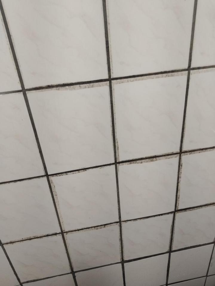 浴室除霉清潔案件圖片
