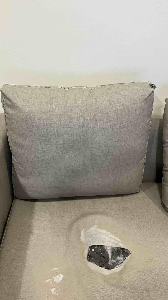 沙發修理案件圖片