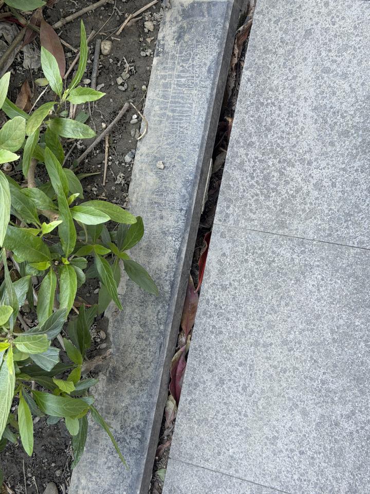 泥作/水泥施工案件圖片