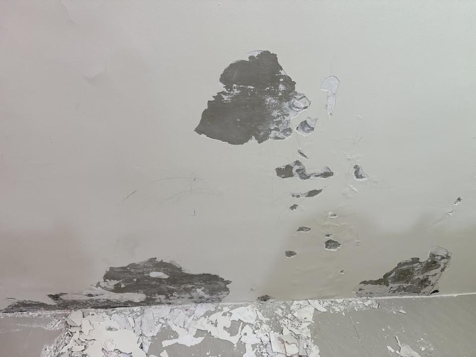 油漆工程案件圖片