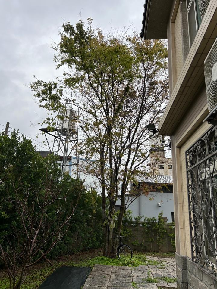 園藝維護案件圖片