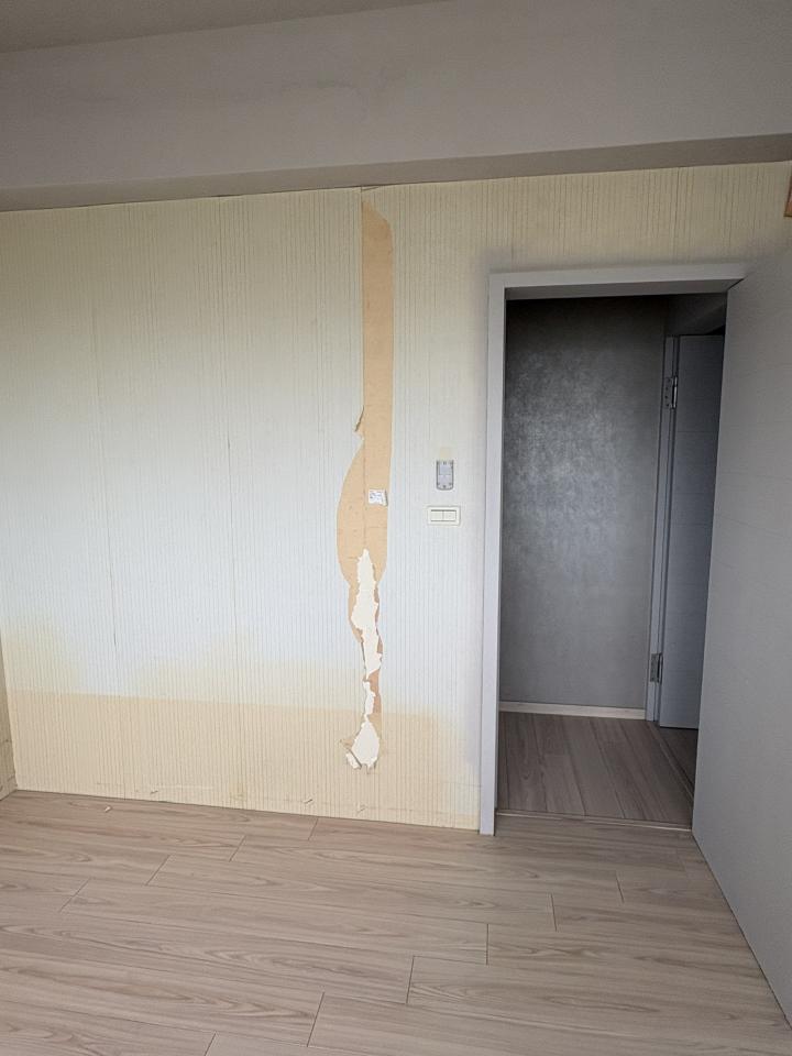 壁紙施工案件圖片