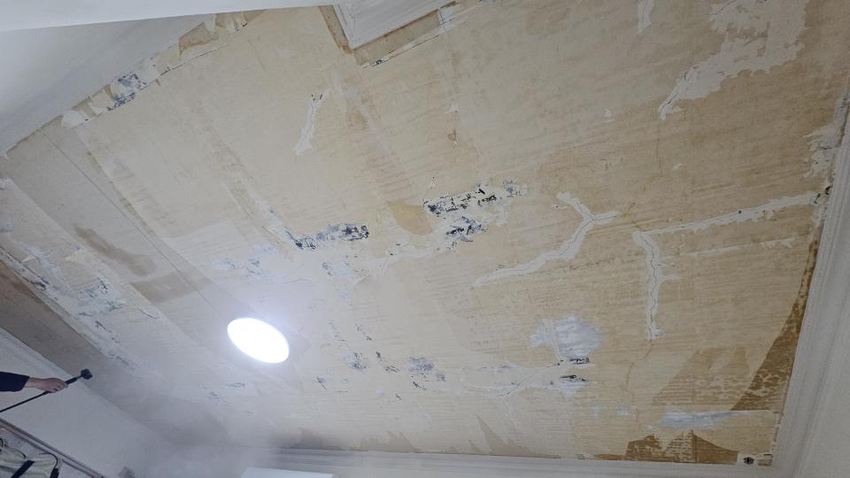 壁紙清除案件圖片