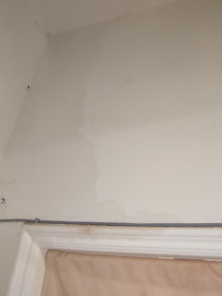 壁癌處理案件圖片