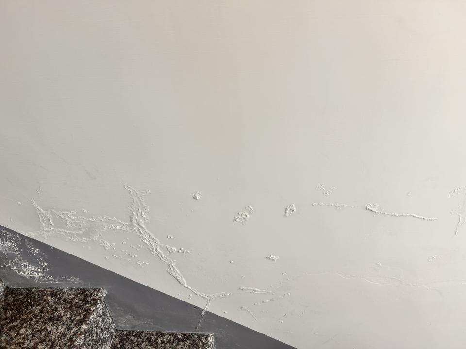 壁癌處理案件圖片