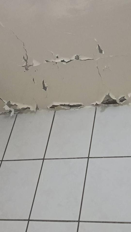 漏水鑑定案件圖片