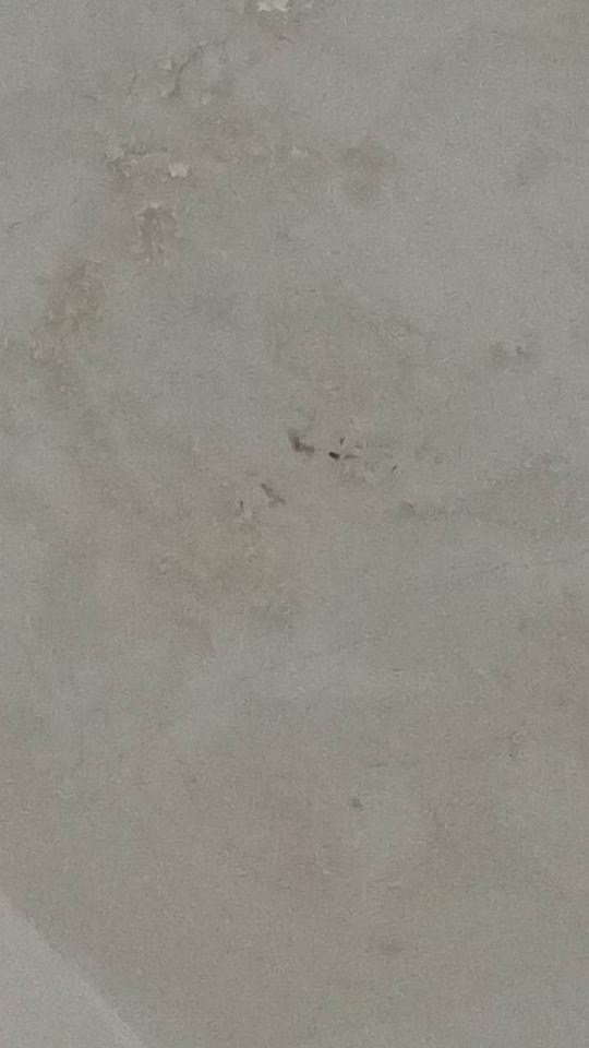 漏水鑑定案件圖片