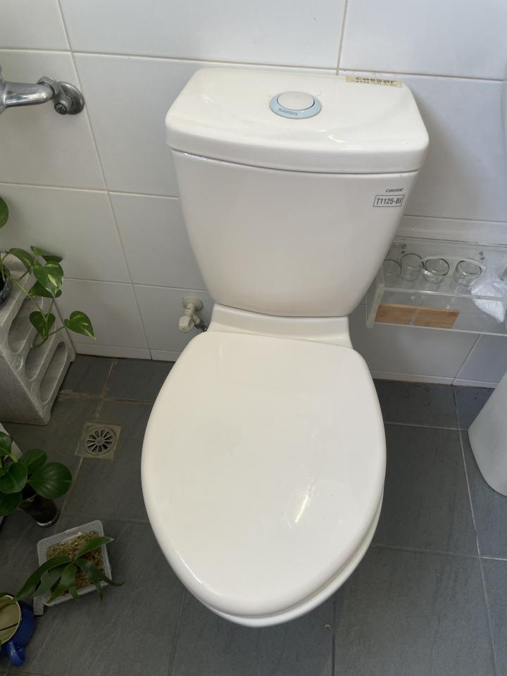 免治馬桶裝修案件圖片