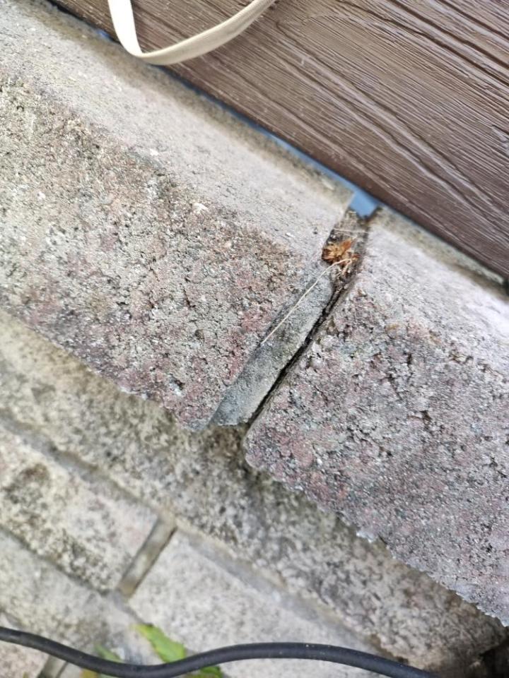 圍牆施工案件圖片