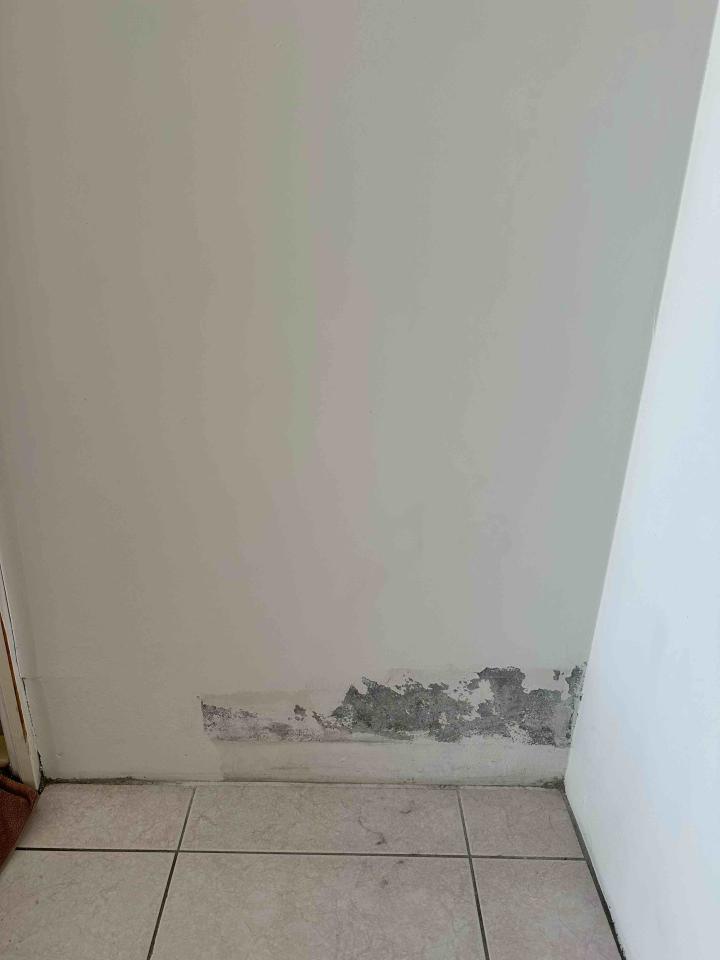 油漆工程案件圖片