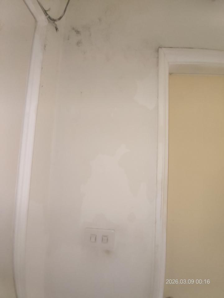 壁癌處理案件圖片