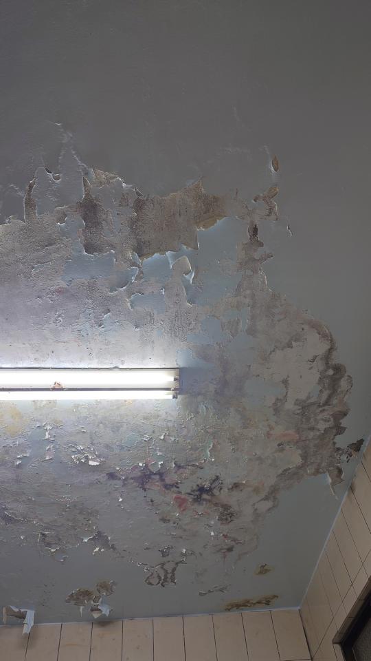 浴室翻新案件圖片