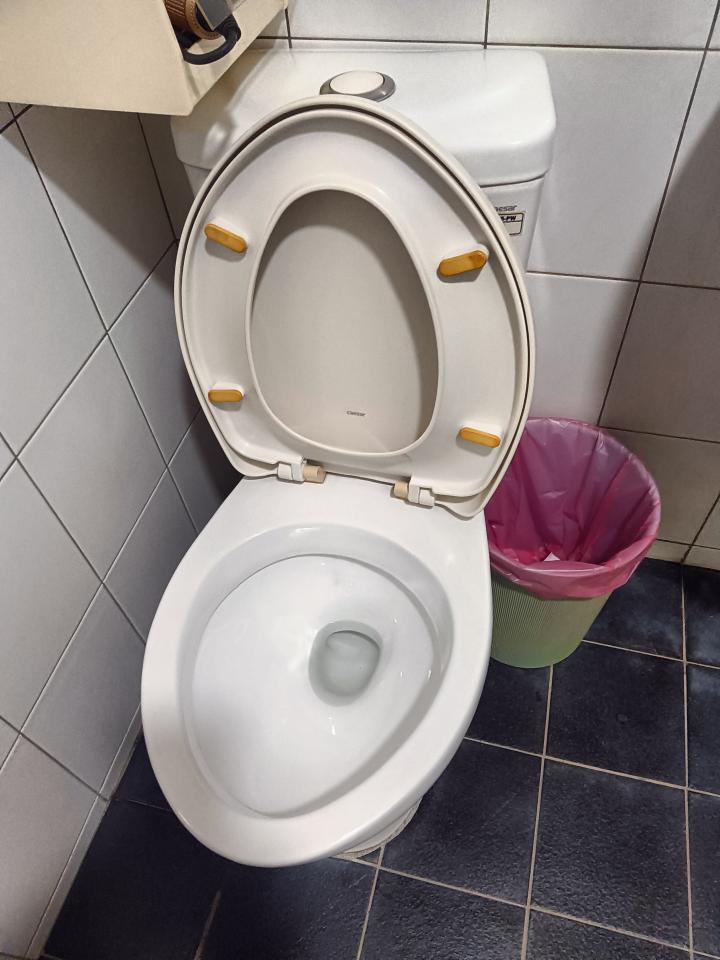 馬桶裝修案件圖片