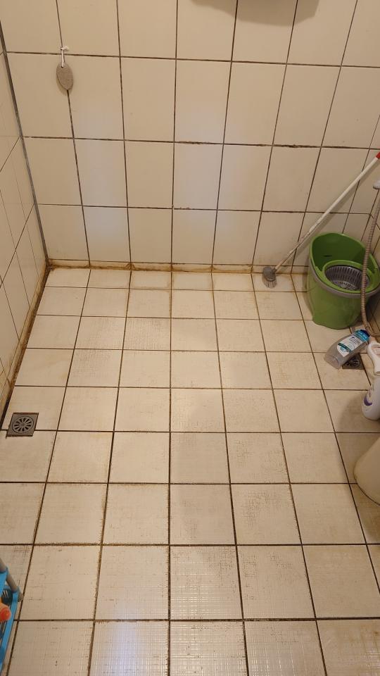 浴室翻新案件圖片