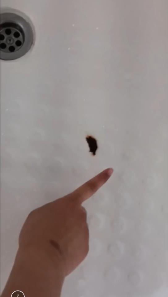 浴缸與淋浴裝修案件圖片