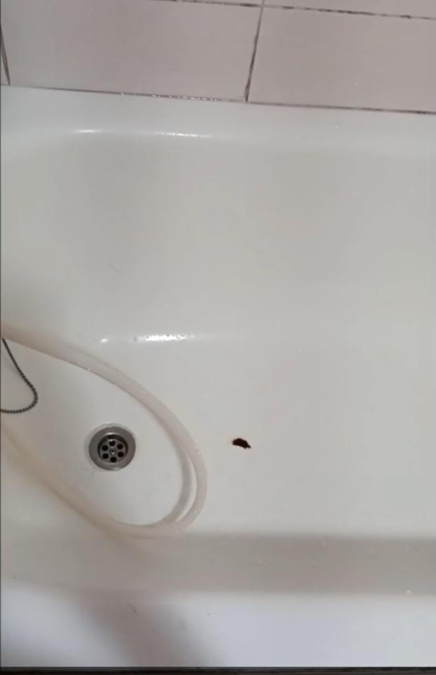 浴缸與淋浴裝修案件圖片