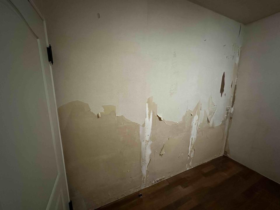 壁紙施工案件圖片