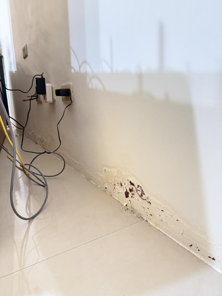 壁癌處理案件圖片