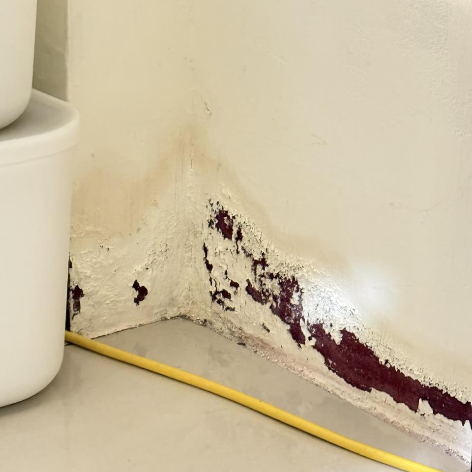 壁癌處理案件圖片