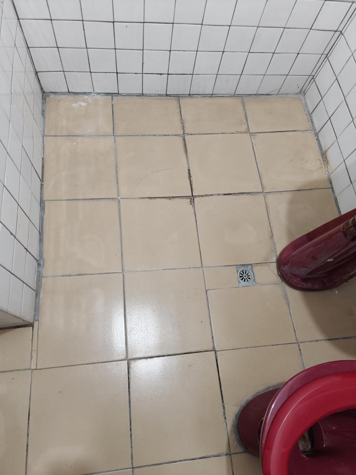 磁磚修補案件圖片