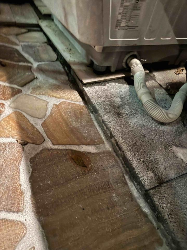 泥作/水泥施工案件圖片