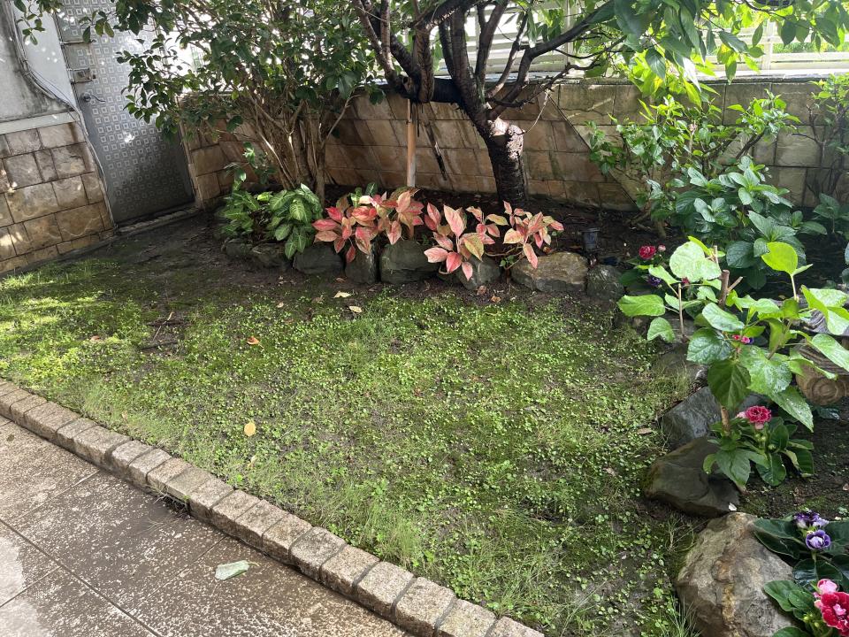 園藝維護案件圖片