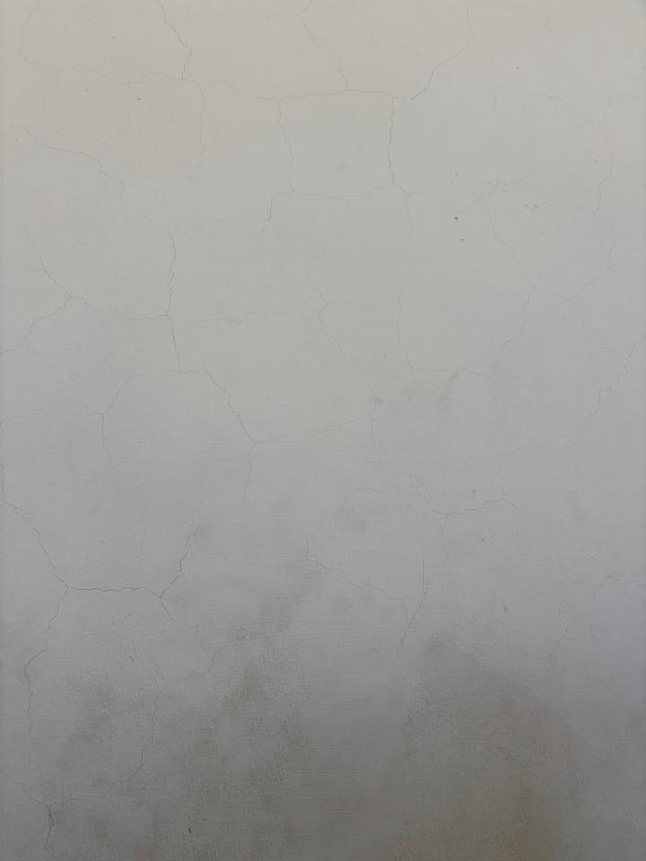 油漆工程案件圖片