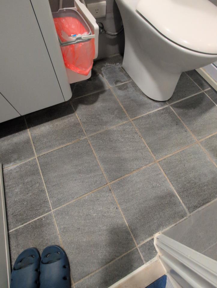 浴室清潔案件圖片