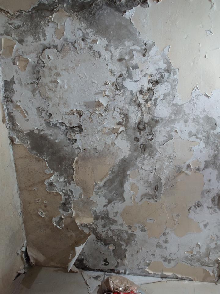 漏水處理案件圖片