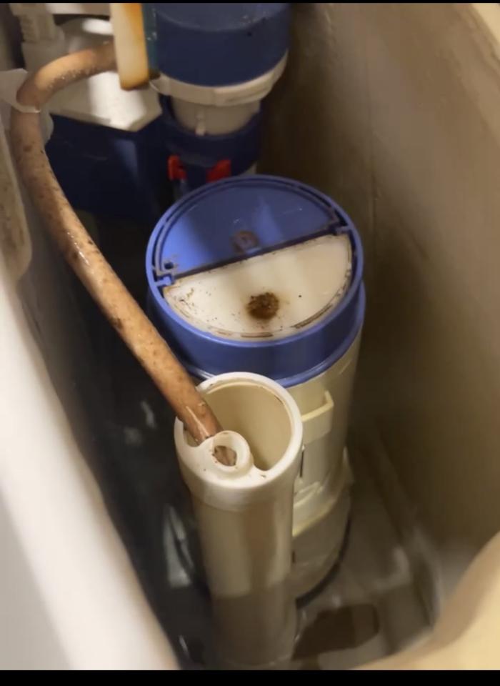 馬桶裝修案件圖片