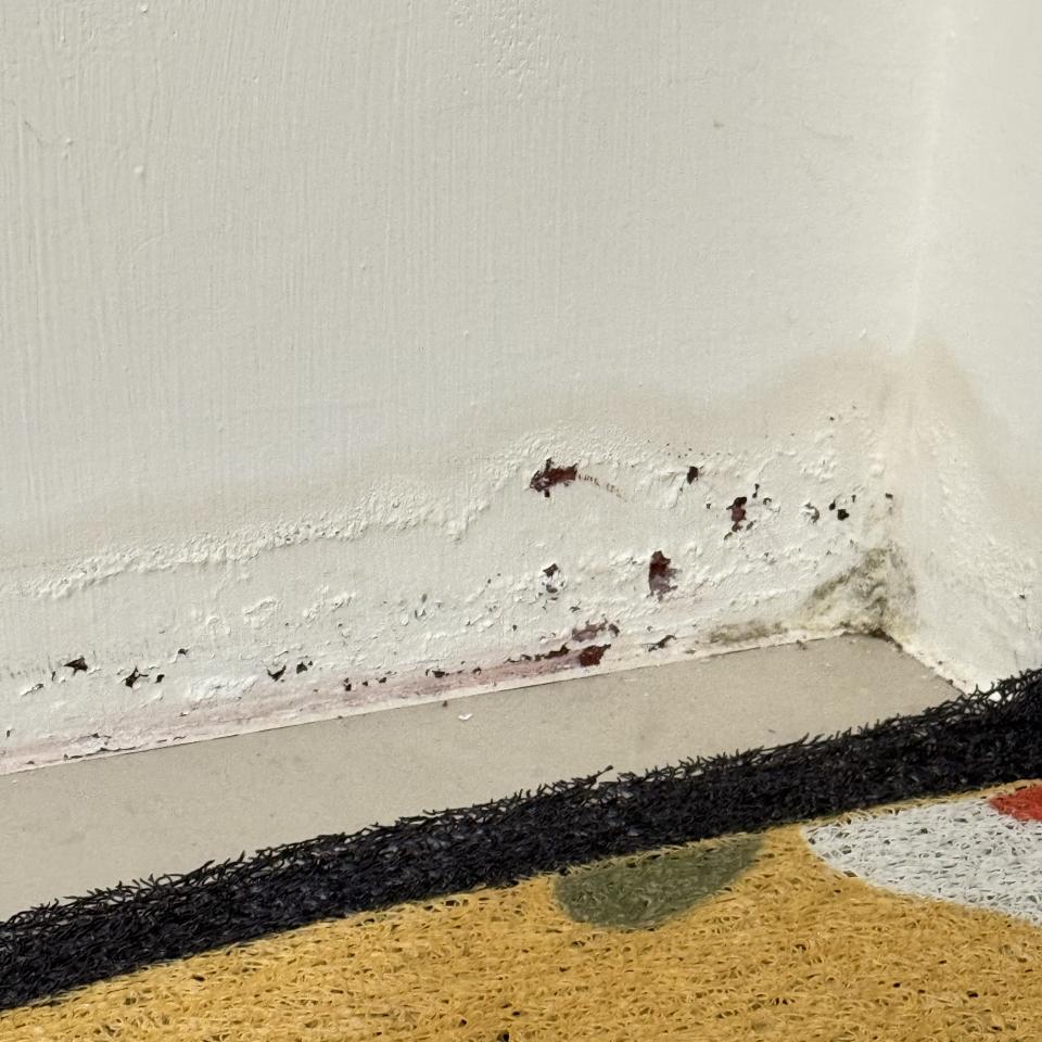 壁癌處理案件圖片