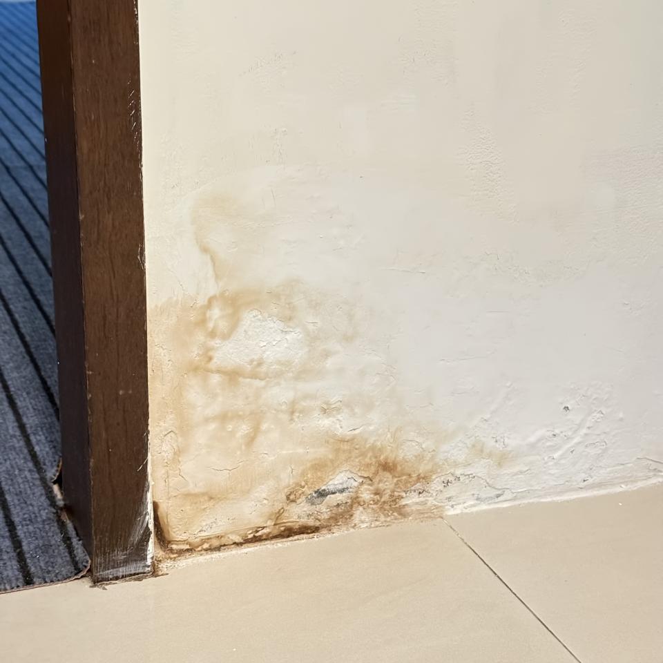 壁癌處理案件圖片